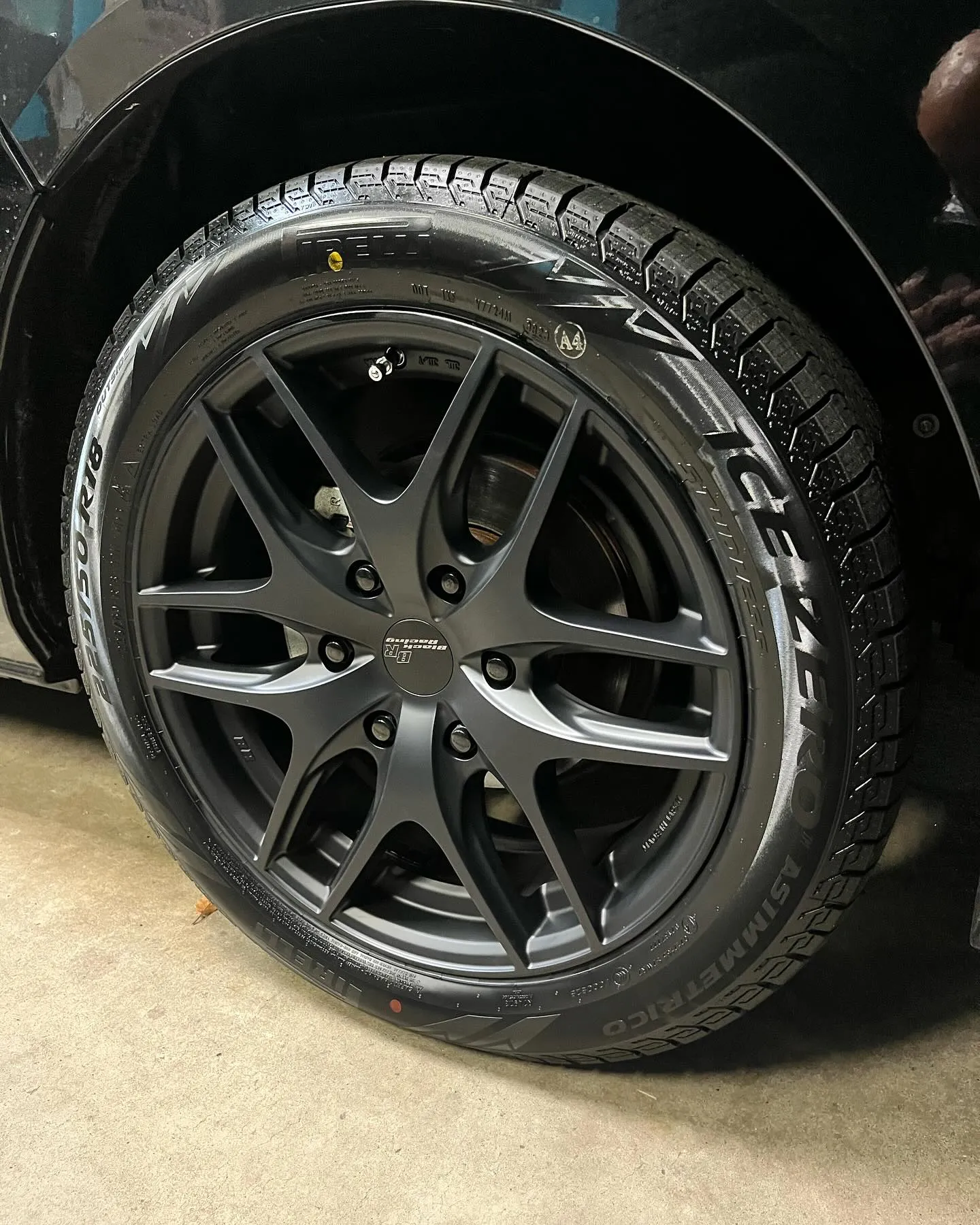 本日の最後の一台🐻