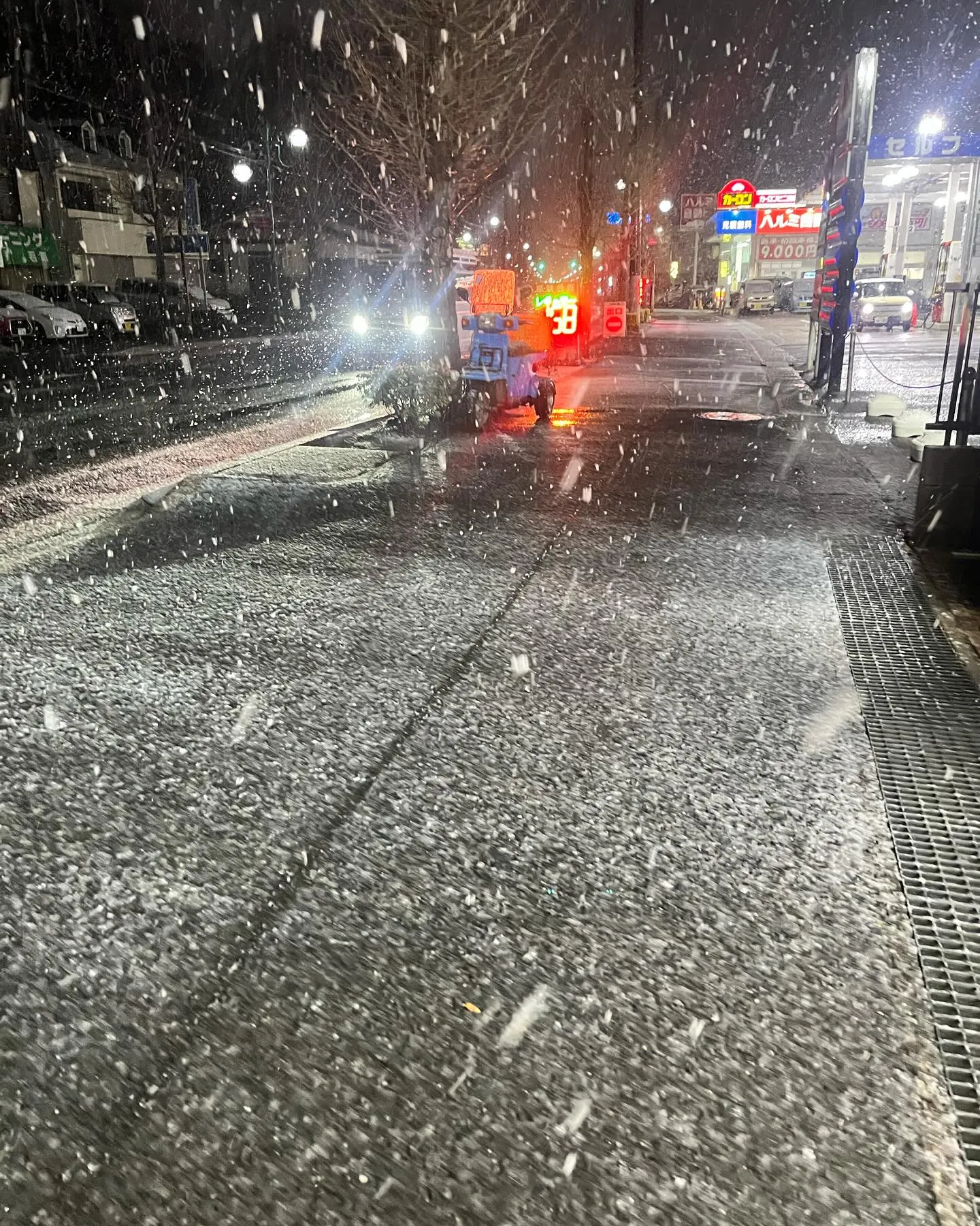 本日は雪のため