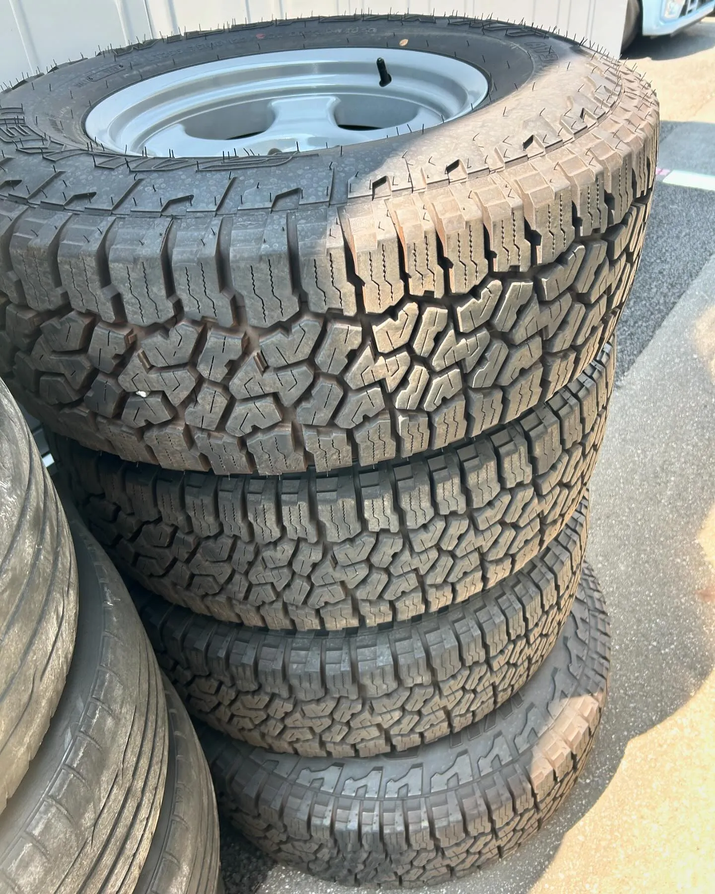 『今日の新入荷🐻もういっちょ！』